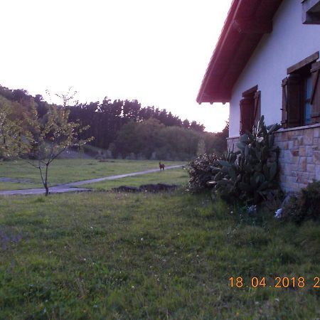 Casa Rural Miamendi Larrabetzu Eksteriør billede